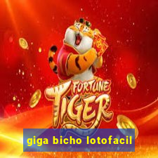 giga bicho lotofacil